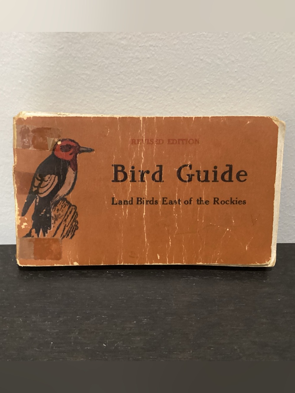 Antique Copy of revised Edition BIRD GUIDE Land Birds East of the Rockies 1926